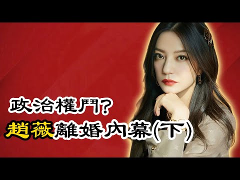 趙薇離婚內幕(下):深挖趙薇秘史,複雜的資金鏈,政商勾結,政治鬥爭,內娛大姐大的沉浮