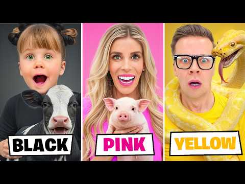 We Adopted Animals in One Color!