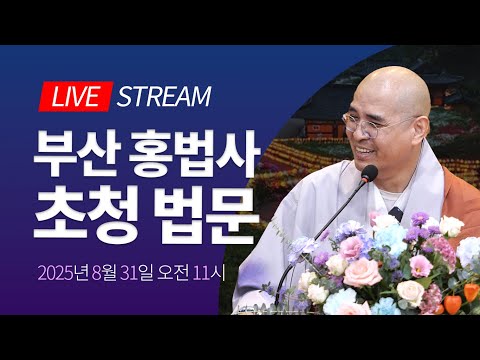 영가는 어떻게 천도 되는가?🙏불교 천도의 원리 대방출 | 부산 홍법사 백중 6재, 자현스님 초청 법문 2025년 8월 31일