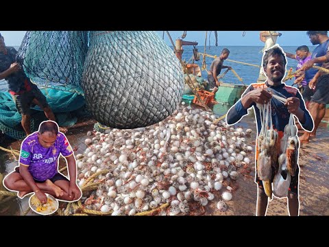 💢 Day-8||Epic 2‼️Amazing 🤩 Caught In Lots Of Ripon Fish In Middle Of The Ocean🔥💯