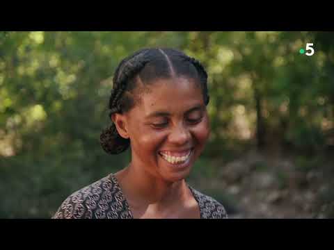 Madagascar   Les bons génies de la forêt