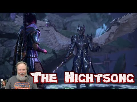 Meeting The Nightsong in The Shadowfell in Baldur's Gate 3