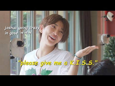 chaotic joshua moments i think about a lot [as a baby carat] 🦌💎