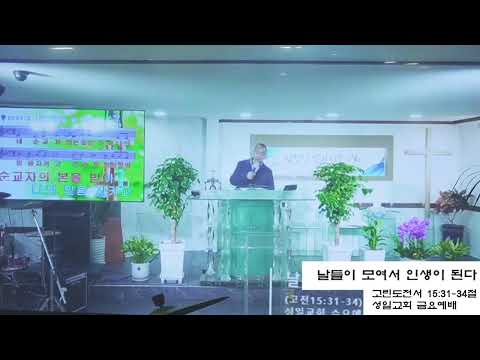 날들이 모여서 인생이 된다 (고전 15:31-34)