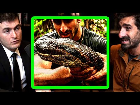 How to catch an Anaconda | Paul Rosolie and Lex Fridman