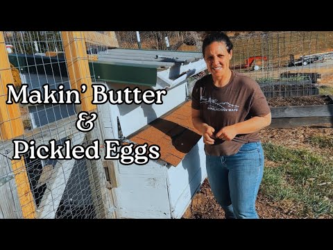 Plenty of Eggs & Milk | Homestead Vlog | March 14, 2025