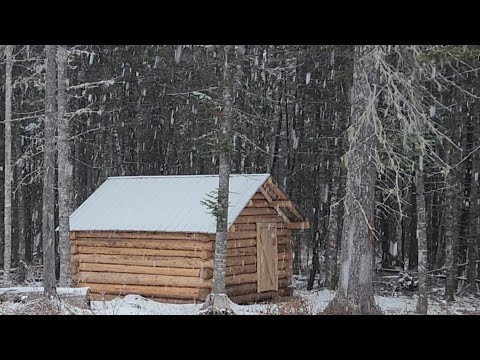 Building a Log Cabin With the Trees On Our Land-Start to Finish
