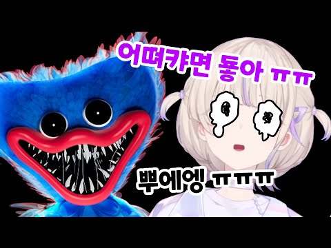자타공인 쫄보 하디몌는 파피가 무섭다 ㅋㅋ