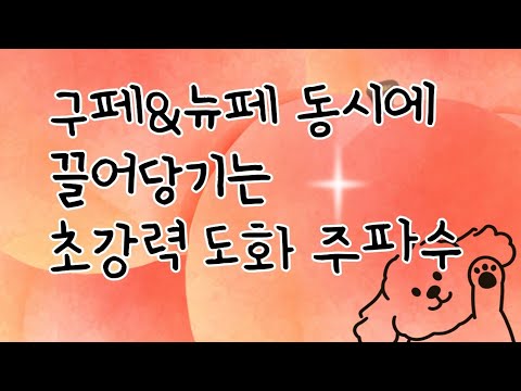 ❤️‍🔥구페&뉴페 동시에 끌어당기는 초강력 도화 주파수❤️‍🔥이미 후기로 검증된 실버타로 주파수[설명란필독‼️]