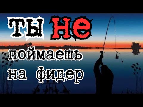Главные приёмы фидерной ловли, о которых ты не знал!