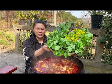 今天摘很多的蔬菜做个爆辣火锅 Pick some fresh vegetables and make a very spicy hotpot