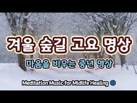 🧘‍♂️ 고요한 겨울 숲길 명상 음악｜중년의 마음을 편안하게 비워주는 힐링 사운드 ✅ #명상음악 #고요한명상 #중년명상 #힐링음악 #마음비우기#겨울힐링음악 #명상음악추천
