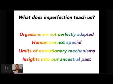 Human Errors: A Panorama Of Our Glitches, From Pointless Bones To Broken Genes with Nathan Lents