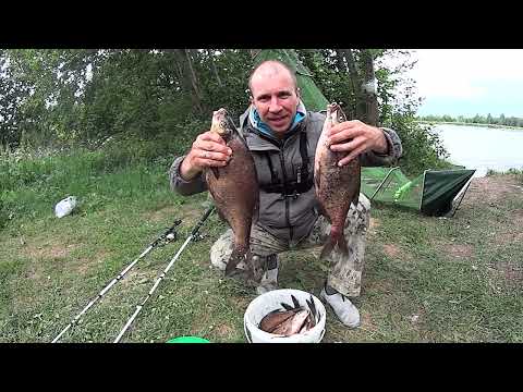 HOW TO FISH WITH FOAM AND LARD. CROCODILE DONKS