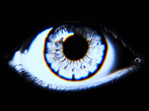 When All Crime Stopped For 1 Hour