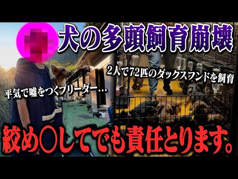 【崩壊】劣悪環境で72匹の犬を飼育するドッグブリーダーに突撃してみた!