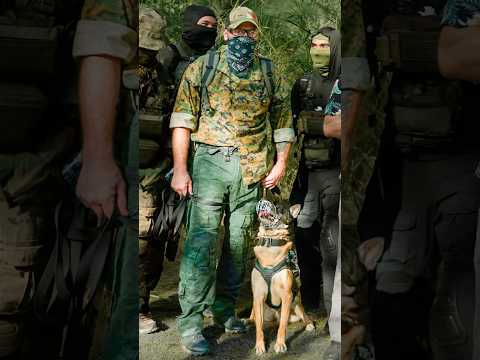 Extreme Hide And Seek VS Real Police