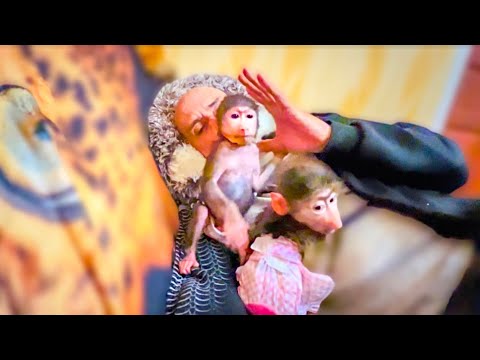 Влад решил отдохнуть, но Степка стал ПРОСТО ОГОНЬ, а не ребёнок, пытается всеми командовать)))