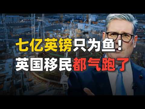 7亿英镑保护几百条鱼，平均一条鱼命27万，斯塔莫估计也快杀青了| 麻薯波比呀