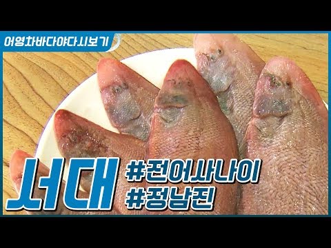 못생겨도 맛은 최고! 영광 서대 ◆강진 전어사나이 ◆정남진 장흥  [어영차바다야 다시보기]