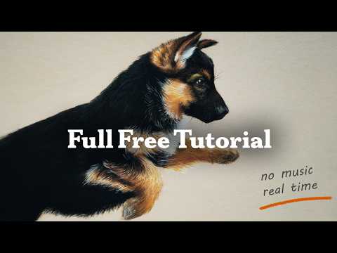 How to Draw a Puppy - Step by Step | No Music