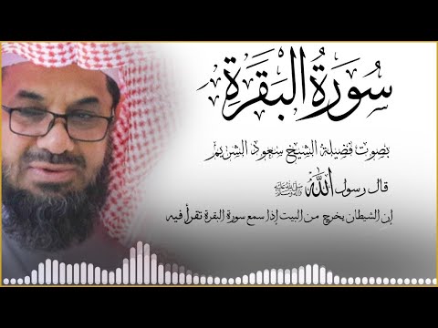 ‏‏  سورة البقرة كاملة دون إعلانات داخلها تحصين المنزل الشيخ سعود الشريم surah baqarah Saud Shuraim