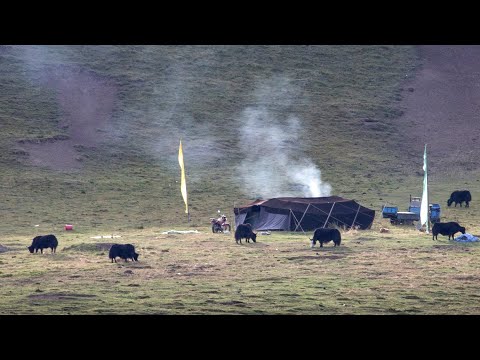 Drokpa Nomads - Tibetan Black Tent