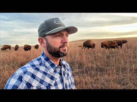 The Most Endangered Ecosystem in America!