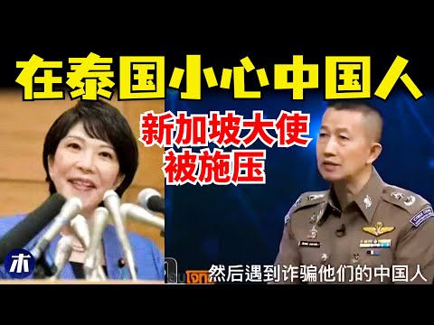 新加坡大使被施压表态，卡日本旅游脖子大翻车，在泰国小心中国人，第一批免签去俄罗斯的中产傻眼了（小木谈天第630期20251219）