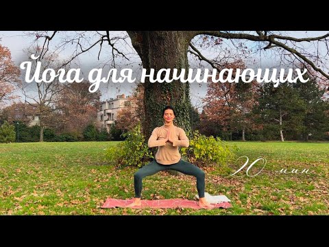 Мягкая йога-растяжка для ЗДОРОВОЙ спины и приятного вытяжения 🌿