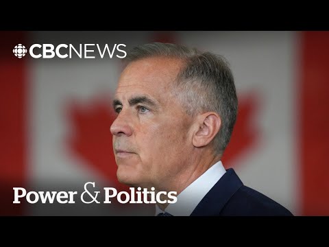 Will new protections help Canada's steel sector weather U.S. tariffs? | Power & Politics