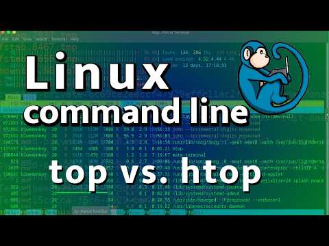 process monitors for Linux - comparing top and htop
