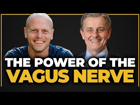 What Most Has My Attention Right Now — Credible (vs. Bogus) Vagus Nerve Stimulation