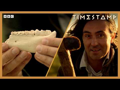 4 Stone Age Secrets revealed | BBC Timestamp