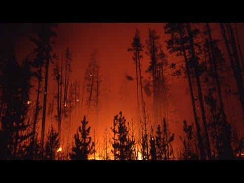 The Story Behind the Yellowstone Fires of 1988 | Retro Report | The New York Times
