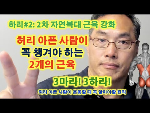 허리 아픈 사람이 꼭 챙겨야 할 2개의 근육 - 하라#2. 2차 자연복대 근육 강화