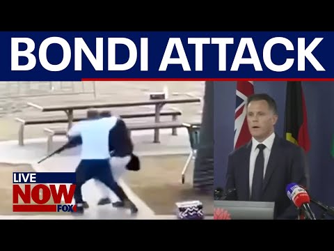 Bondi shooting: Surviving suspect charged, 15 counts of murder & terrorism charges