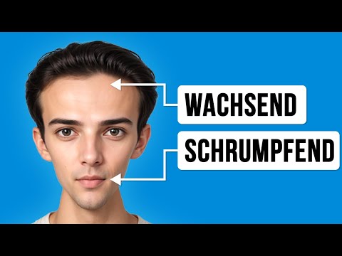 Die seltsamen Dinge, die Ihre Organe wirklich tun