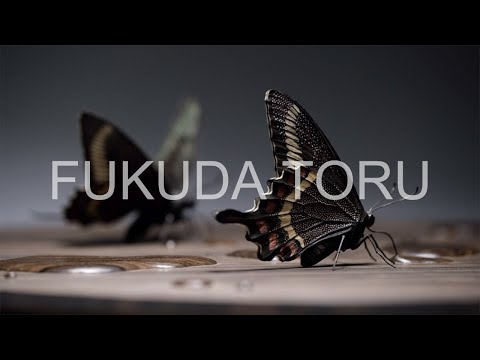 福田亨：立体木象嵌ミヤマカラスアゲハ  ーメイキング動画ー
