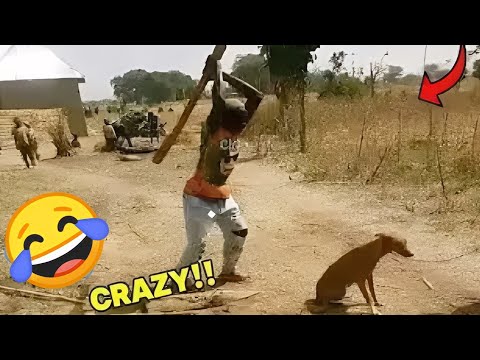 Total Idiots At Work 😂😂😂 | 100% Stupid | Try Not To Laugh Challenge LEVEL 9 😂😂😂