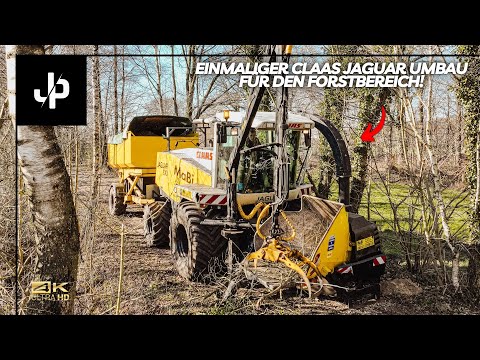 This Claas Jaguar chops trees! || JP Agrar