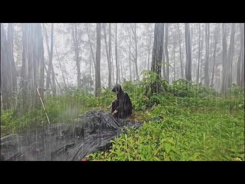 AMAZING ❗LONG HEAVY RAIN CAMPING⛈️SOLO CAMPING IN LONG HEAVY RAIN
