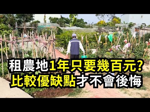 買農地或租農地？比較優缺點避免後悔 | 阿星種植