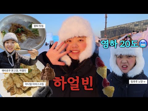 🇨🇳 하얼빈 여행 vlog | 영하 20도에서 살아남기..🥶❄️ | 빙등제 입장권 저렴하게 구입하는 꿀팁! | 라오추지아, 중앙대가, 마디얼빙과 | 1월 하얼빈 여행