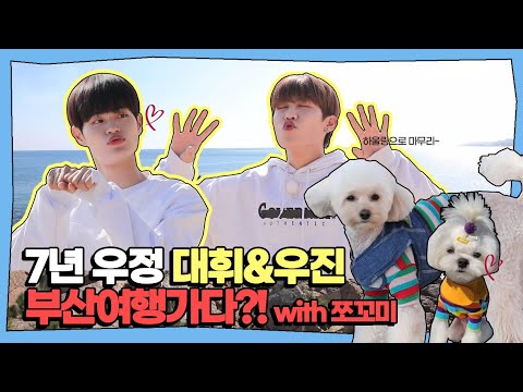 AB6IX 이대휘 박우진 부산여행 with 쪼꼬미 (AB6IX daehwi & woojin busan travel)(에이비식스)