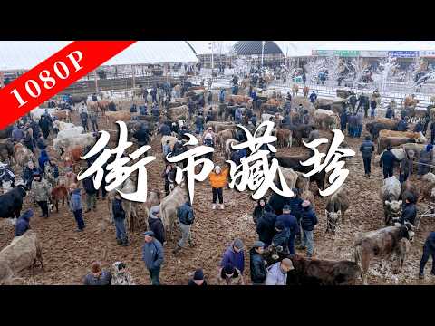 《老广的味道》第十一季 第6集 街市藏珍|1080P 地域饮食文化如何扎根生存智慧