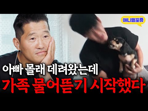 I secretly brought it home without Dad knowing... but then it suddenly started biting him!