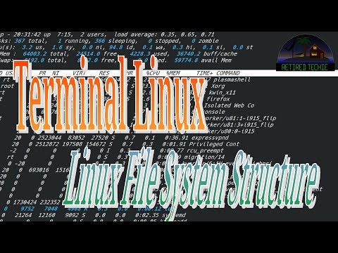 Terminal Linux File System Overview