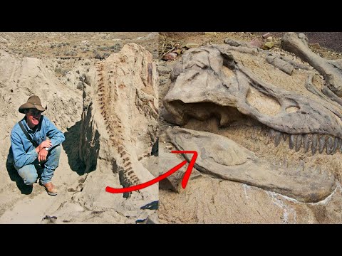 110 Million Years Old Dinosaur Mummy Found