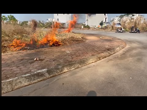 Cleaning Sidewalks: Proper Waste Disposal, Weed Burning, and a Wonderful Transformation.